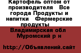 Картофель оптом от производителя - Все города Продукты и напитки » Фермерские продукты   . Владимирская обл.,Муромский р-н